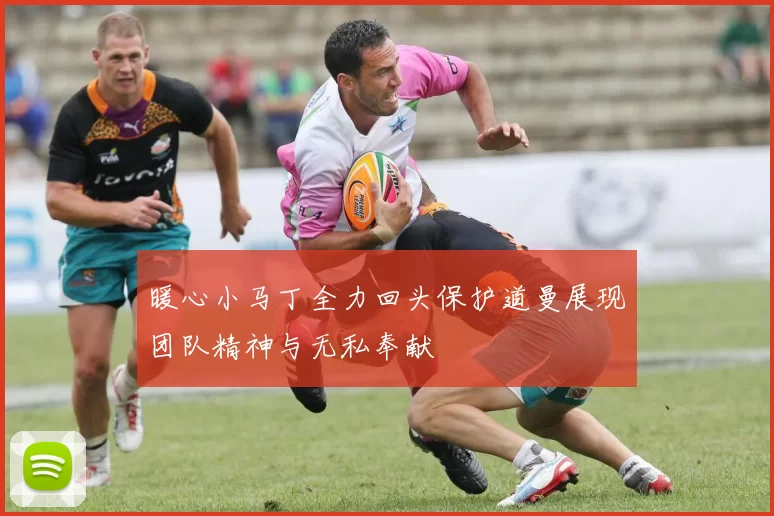 暖心小马丁全力回头保护道曼展现团队精神与无私奉献