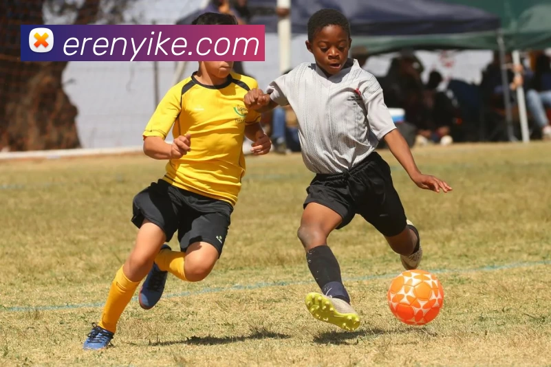 企业概况
